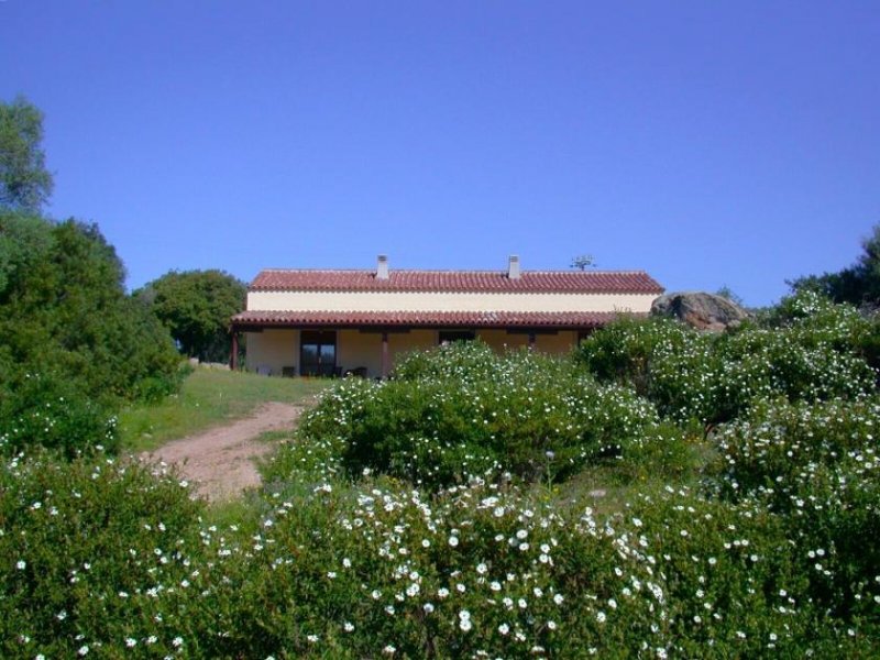 Luogosanto Haus Mirto, La China, Luogosanto Haus kaufen