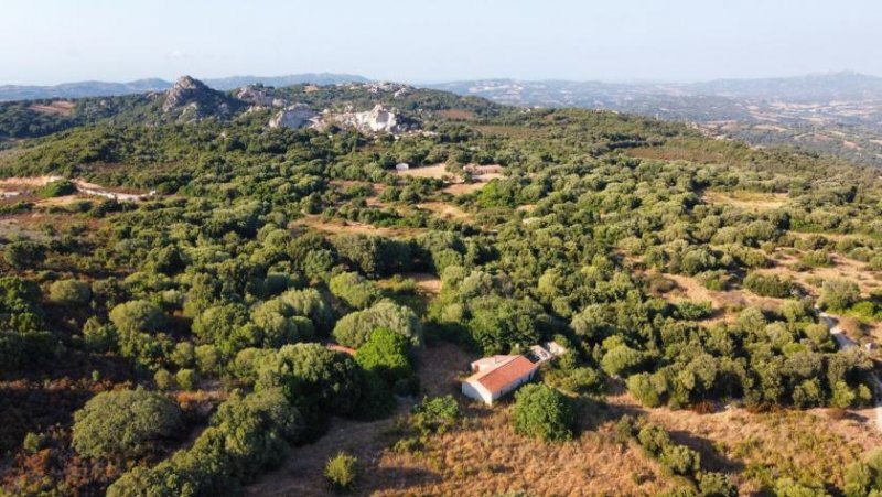 Luogosanto Historisches Stazzo Nähe Luogosanto Haus kaufen