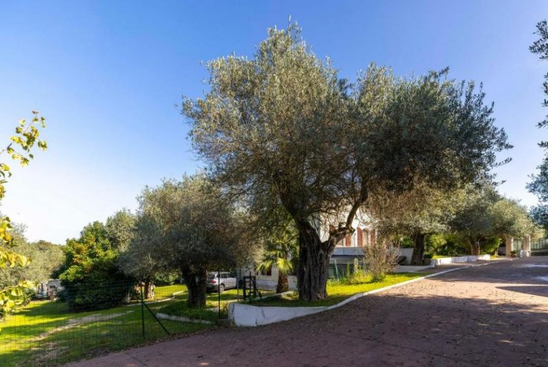 San Camillo San Camillo Sassari Villa mit sehr großem Garten Haus kaufen