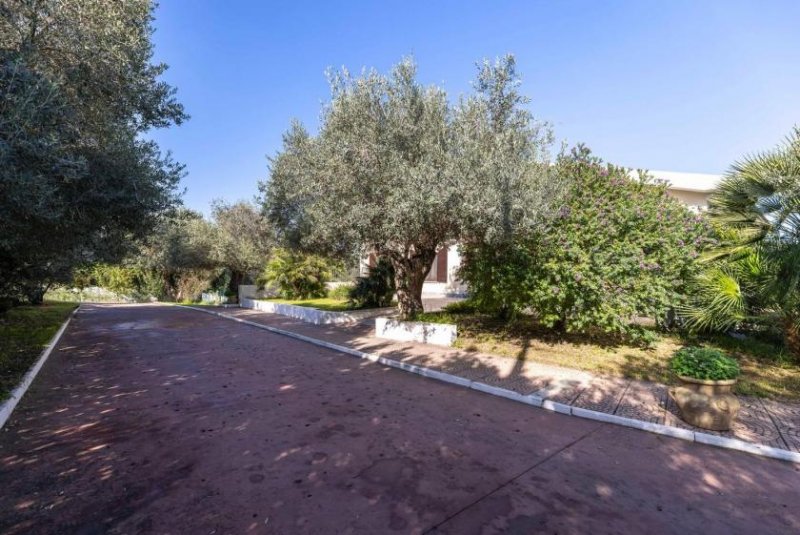 San Camillo San Camillo Sassari Villa mit sehr großem Garten Haus kaufen