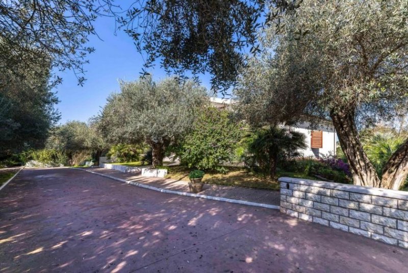 San Camillo San Camillo Sassari Villa mit sehr großem Garten Haus kaufen