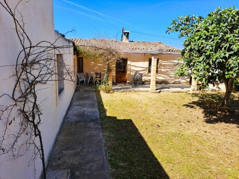 Sencelles Finca mit Weinbergen in Sencelles auf Mallorca zu verkaufen Haus kaufen