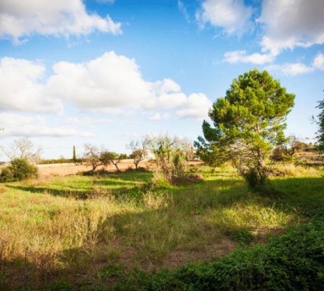 Santa Eugènia ***Bauernhaus in Santa Eugènia*** Haus kaufen