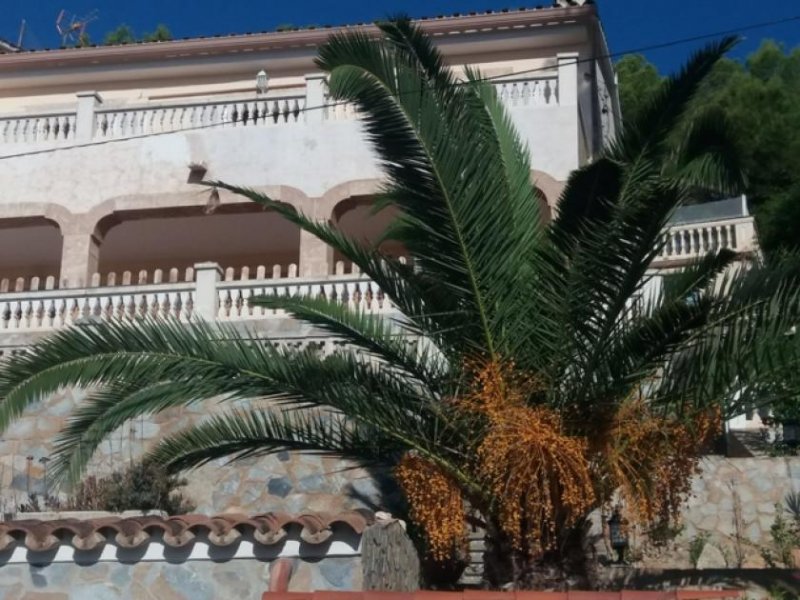 Calvià / Peguera Freistehendes Chalet mit Blick auf die Bucht von Paguera Haus kaufen