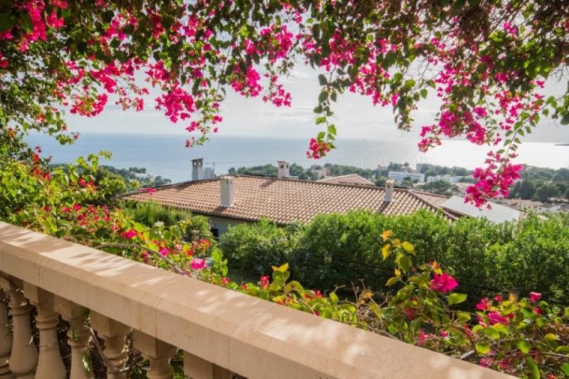 Calvià / Portals Nous Mallorca Phantastische Villa mit Pool und Meerblick im mondänen Südwesten zu verkaufen Haus kaufen