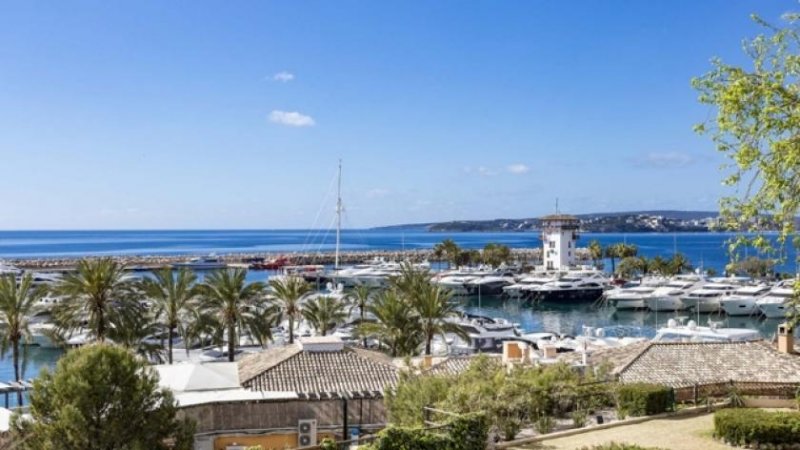 Calvià / Portals Nous Mallorca renovierte Wohnung mit Meerblick in Puerto Portals zu verkaufen Wohnung kaufen