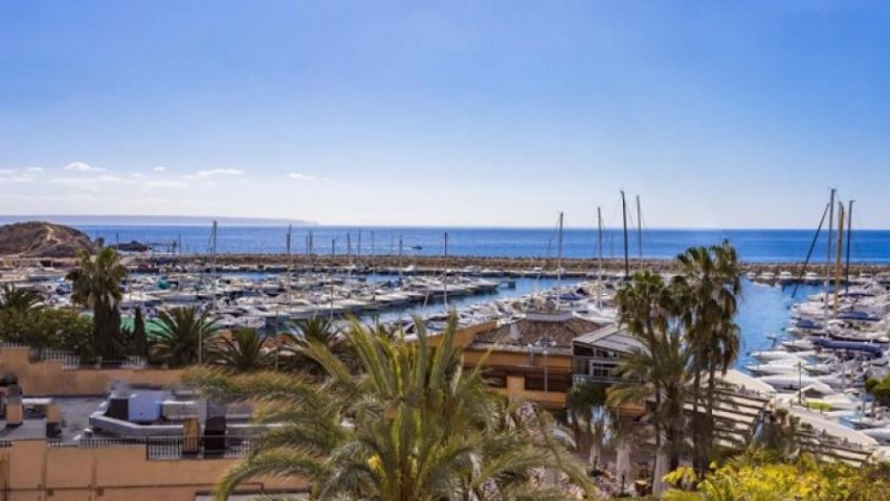 Calvià / Portals Nous Mallorca renovierte Wohnung mit Meerblick in Puerto Portals zu verkaufen Wohnung kaufen