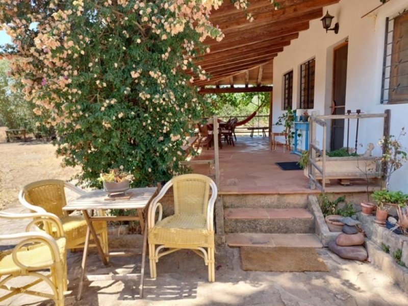 Felanitx Mallorca Stein Finca bei Felanitx zu verkaufen Haus kaufen