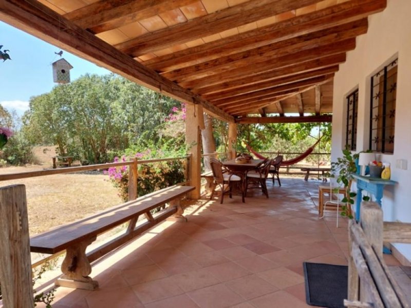 Felanitx Mallorca Stein Finca bei Felanitx zu verkaufen Haus kaufen