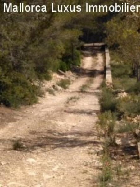 Porreres Preiswerte Finca in Porreres zu verkaufen mit einem traumhaften Blick Haus kaufen