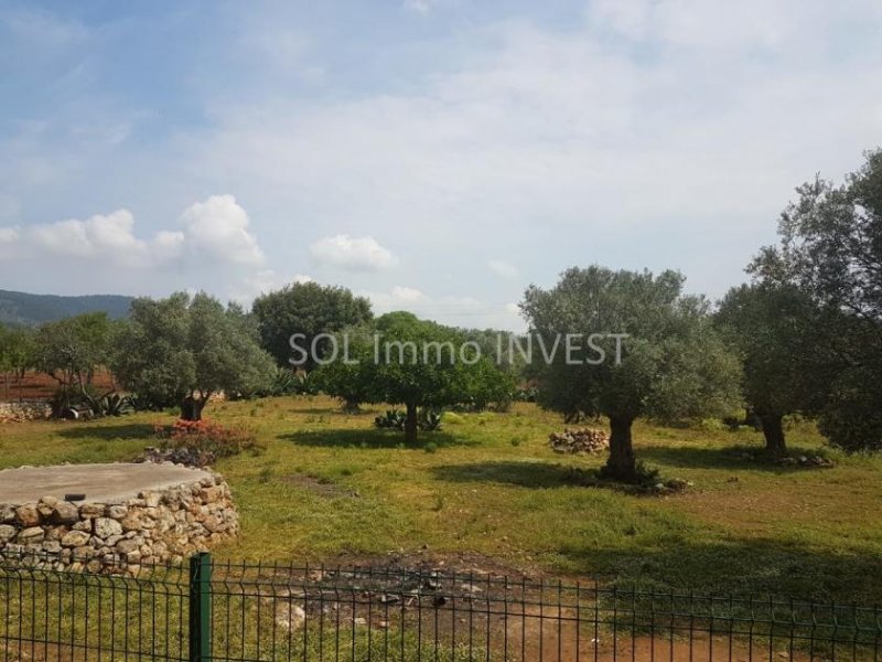 Campanet Eine schöne Finca - sehr gute Lage Haus kaufen