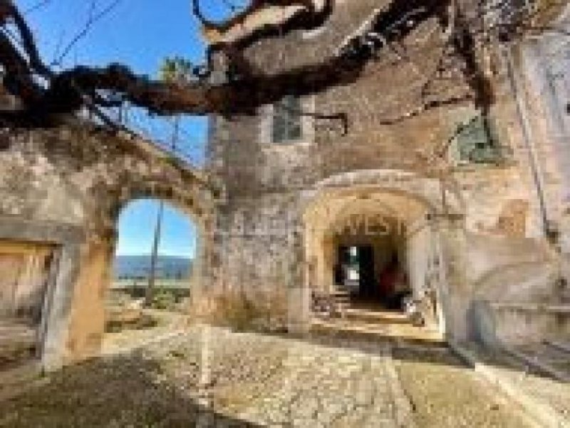 Campanet Landhaus mit Weingut und einem lizensiertem Hotel Projekt Haus kaufen