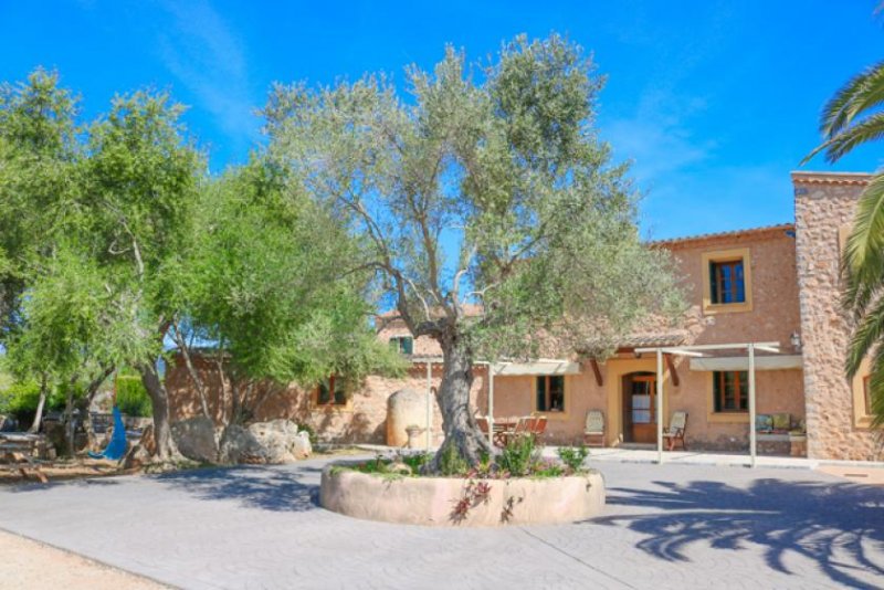 Santa María del Camí FINCA MIT FERIENLIZENZ UND VIEL RUHE UND PRIVATSPHÄRE Haus kaufen