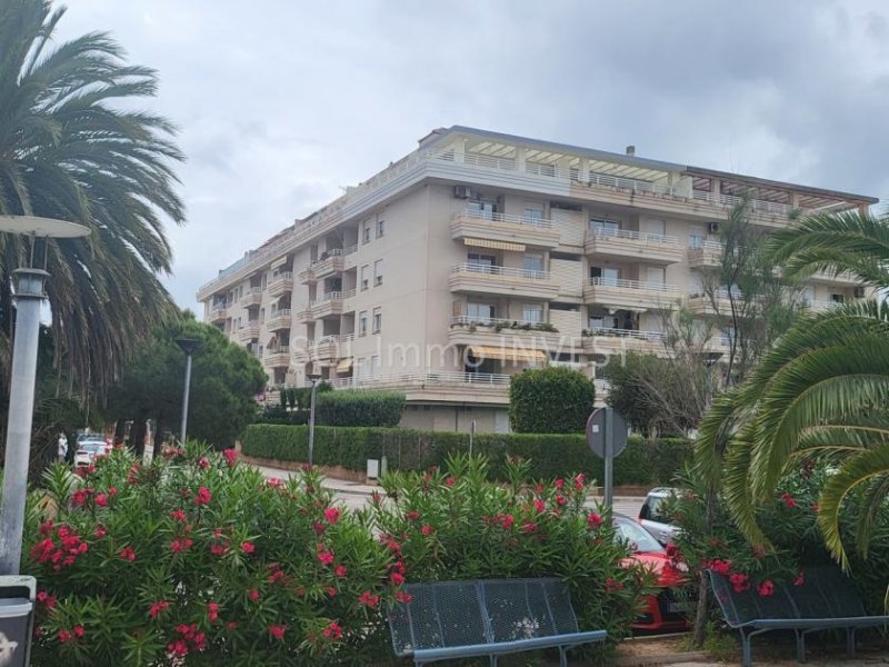 Alcúdia Gut gelegene Wohnung mit schöner Aussicht! Wohnung kaufen