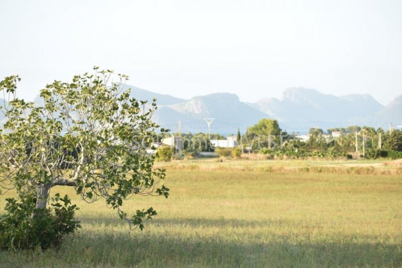 Alcudia Ein schönes Grundstück zum Bebauen Grundstück kaufen