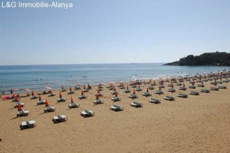 Antalya, Avsallar Traumhafter Villenpark in Alanya Avsallar, Luxus und Eleganz ein Einklang mit der Natur. Haus kaufen