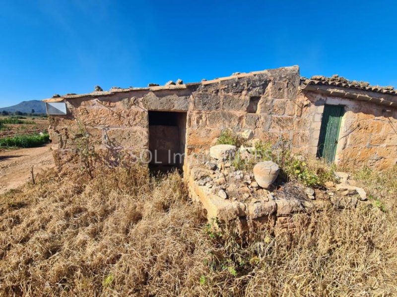 Llubí Schönes Finca mit viel Land und schöner Aussicht ! Grundstück kaufen