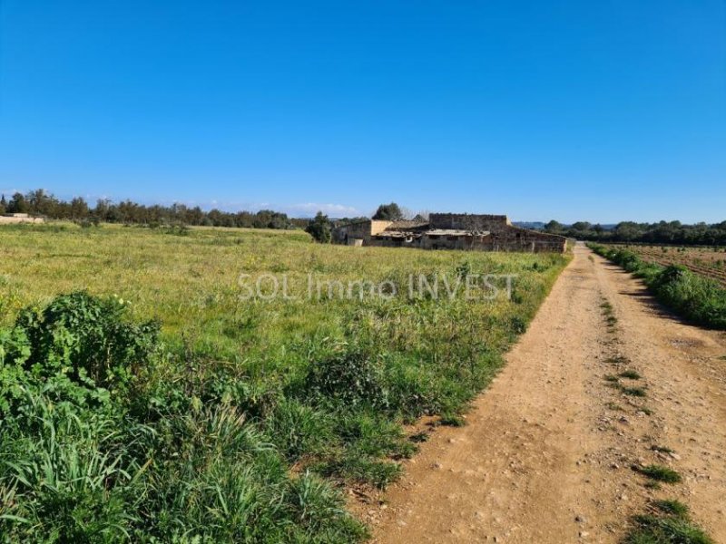 Llubí Schönes Finca mit viel Land und schöner Aussicht ! Grundstück kaufen