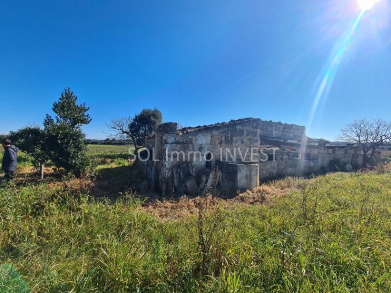 Llubí Schönes Finca mit viel Land und schöner Aussicht ! Grundstück kaufen