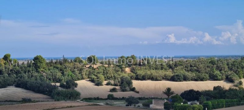 Muro Finca-Grundstück in Muro Grundstück kaufen