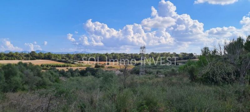 Muro Finca-Grundstück in Muro Grundstück kaufen