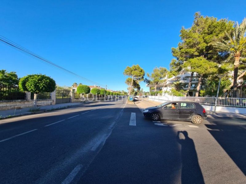 Playa de Muro Eine sehr gute Gelegenheit für Ihr Geschäft ! Grundstück kaufen