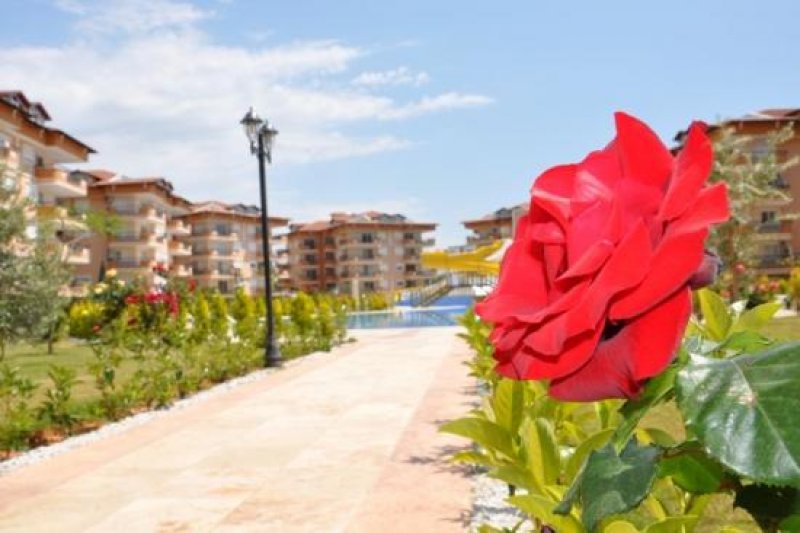 Antalya, Alanya, Oba *** PROVISIONSFREI *** Schöne Penthouse Wohnung in Oba Wohnung kaufen