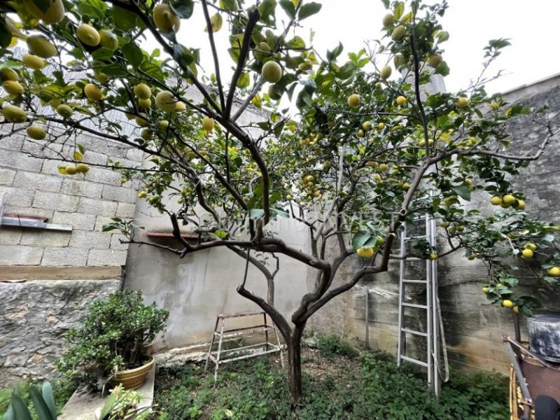 Pollensa Gemütliches Stadthaus mit Patio Haus kaufen