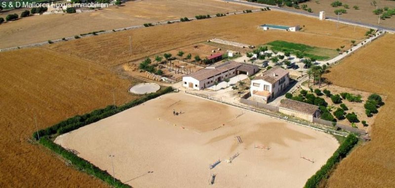 Manacor Einzigartiges Landgut Driver Ranch Nähe Manacor Haus kaufen