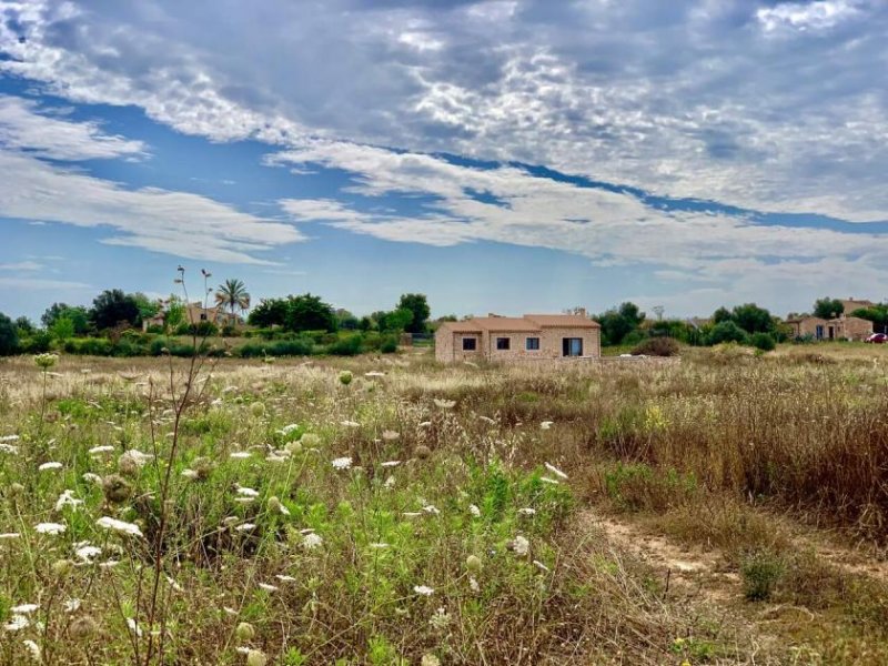 Manacor Neubau einer kleinen Natursteinfinca in ungestörter Landschaft Haus kaufen