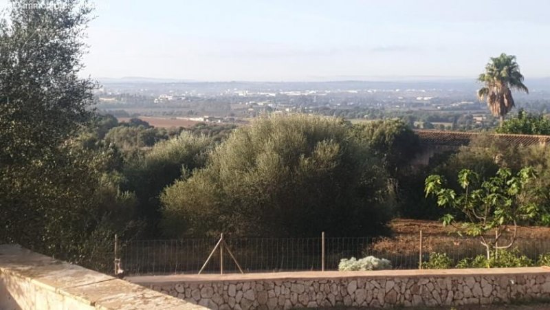 Manacor Wunderschöne Finca in mallorquinischem Gewand: Tradition trifft auf Luxus Haus kaufen