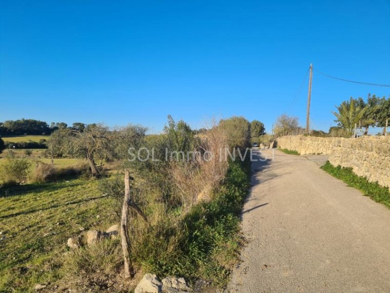 Sineu Beindruckendes Finca-Grundstück bei Sineu Grundstück kaufen