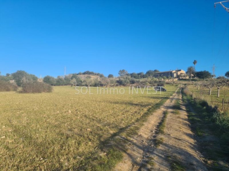 Sineu Beindruckendes Finca-Grundstück bei Sineu Grundstück kaufen