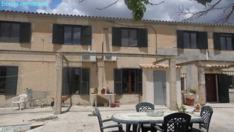 Sineu Charmante Finca RUSTICA Haus kaufen