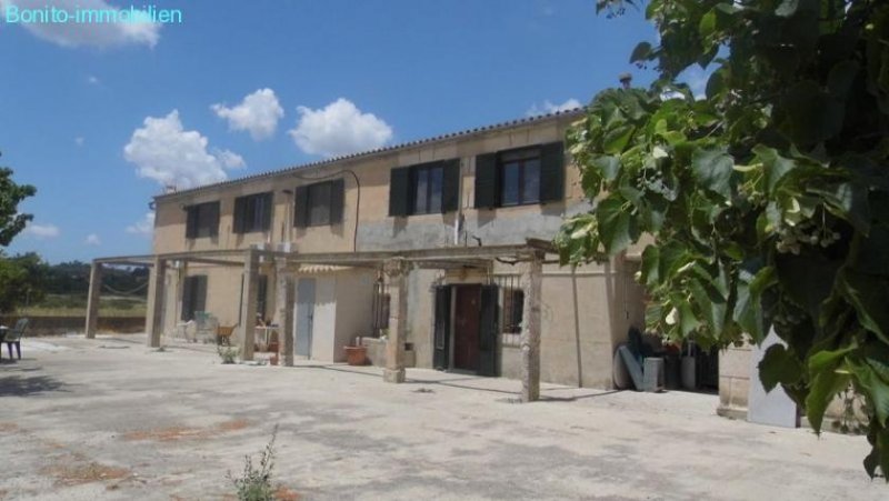 Sineu Charmante Finca RUSTICA Haus kaufen