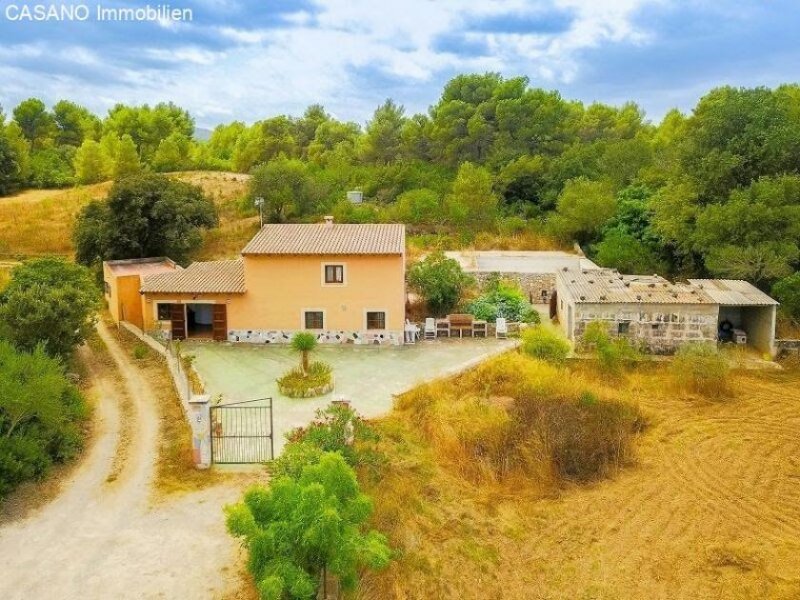 Harth-Pöllnitz Traumhafte Finca mit Pool zum Erstbezug bei Arta Haus kaufen