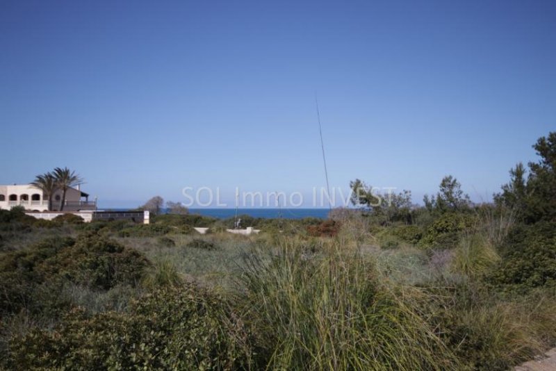 Colonia de Sant Pere Grundstücke in Meernähe Grundstück kaufen