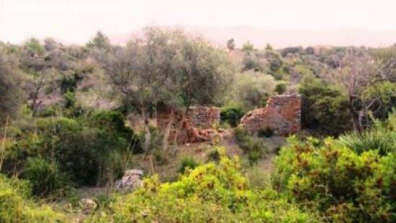 Capdepera Finca-Baugrundstück mit Blick bis zum Meer. Grundstück kaufen