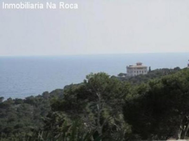 Cala Ratjada Baugrundstück in absolut ruhiger Lage und super Meerblick in Cala Ratjada Grundstück kaufen