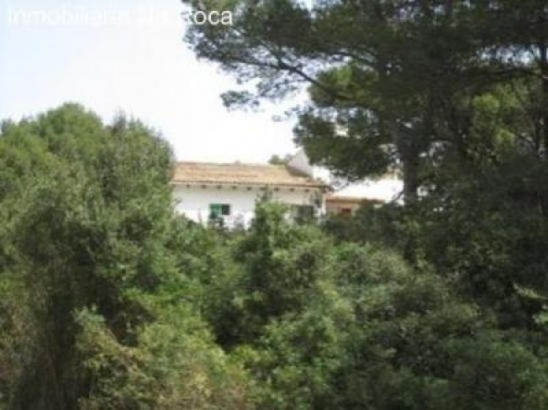 Cala Ratjada Mehrfamilienhaus in Cala Ratjada Haus kaufen