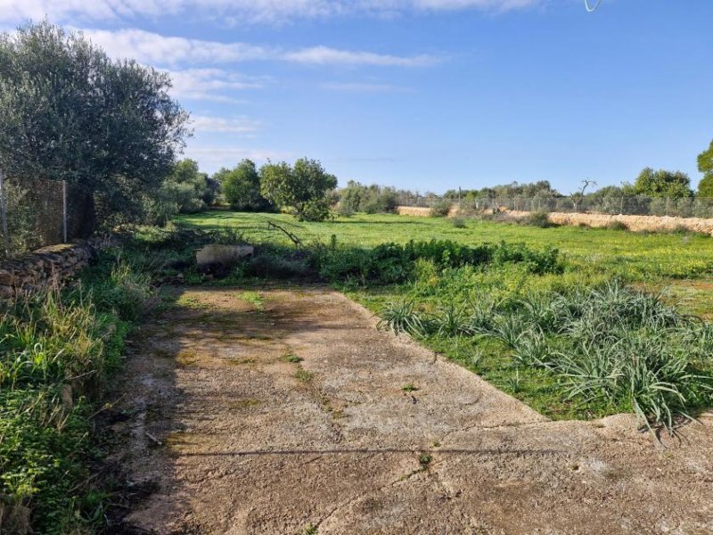 Llucmajor Finca - sehr einfach in ruhiger Lage! Haus kaufen