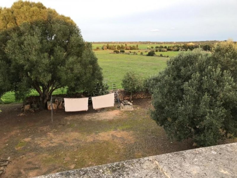 Ses Salines Charmantes Chalet in Ses Salines zu verkaufen Haus kaufen