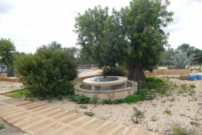 Santanyi Lichtdurchflutete Finca mit BBQ-Bereich und Pool nahe Santanyi Haus kaufen