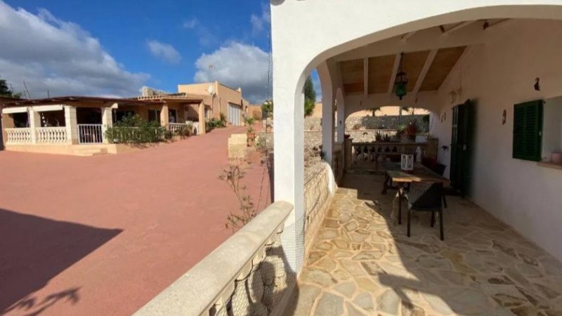 Porto Cristo Einzigartiges Immobilienangebot in Porto Cristo mit 2 Fincas, 3 Wohnungen und 2 Gartenhäuschen Haus kaufen