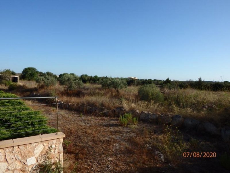 Sant Jordi de Ses Salines Noch nicht fertig gestellte Finca in Ses Salines zu verkaufen Haus kaufen