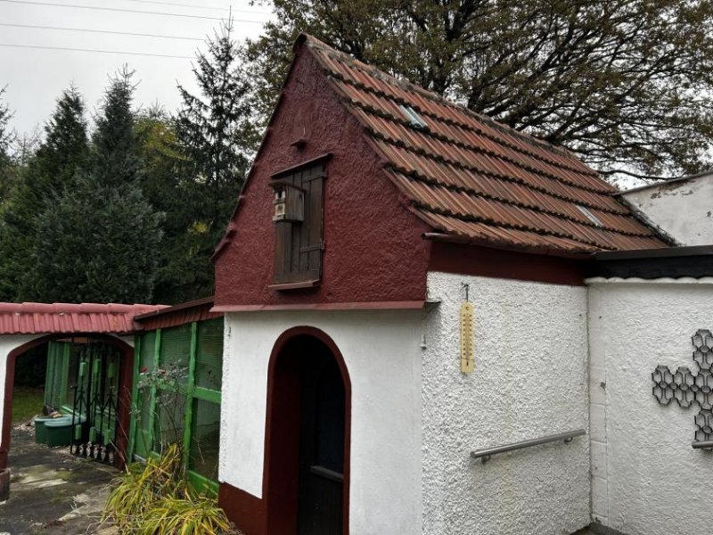 Zwickau Sanierungsbedürftige Doppelhaushälfte mit Garage, ruhig und zentrumsnah Haus kaufen