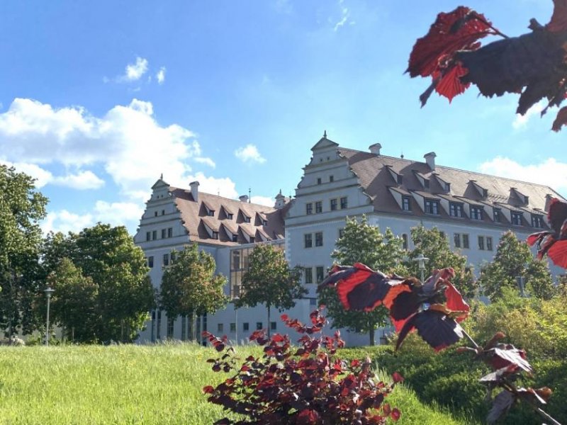 Zwickau Vermietete Gewerbeeinheit gegenüber vom Zwickauer Neumarkt! Gewerbe kaufen