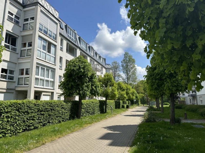 Zwickau Helle 1-Raum-Wohnung mit Balkon, EBK und TG-Stellplatz direkt an der Mulde! Mit Aufzug! Wohnung kaufen