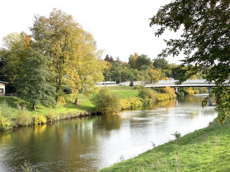 Zwickau Helle 1-Raum-Wohnung mit Balkon, EBK und TG-Stellplatz direkt an der Mulde! Mit Aufzug! Wohnung kaufen