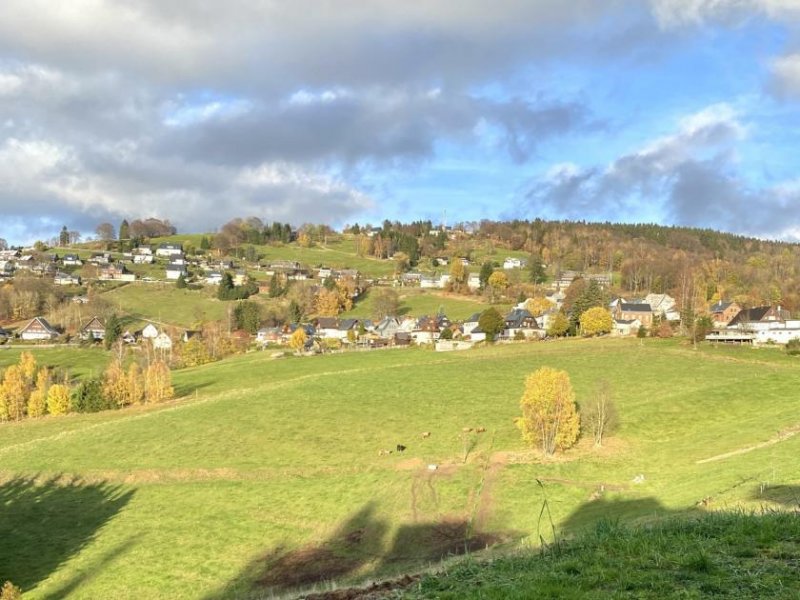 Klingenthal Sanierungsbedürftiges Mehrfamilienhaus mit 3 Wohneinheiten in Klingenthal! Haus kaufen